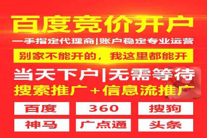 SEM主管实战：数据分析与策略调整